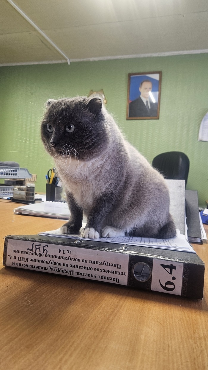Юмор фм бузулук