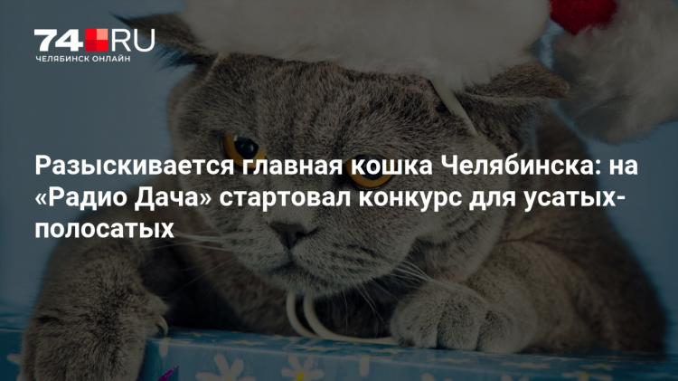 Слушай радио дача
